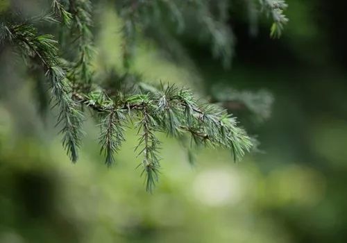 88元两瓶的大牌香水,有没有400块钱的大牌香水