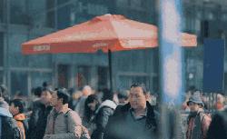 推荐｜团团的问候：你已经回家了吗？