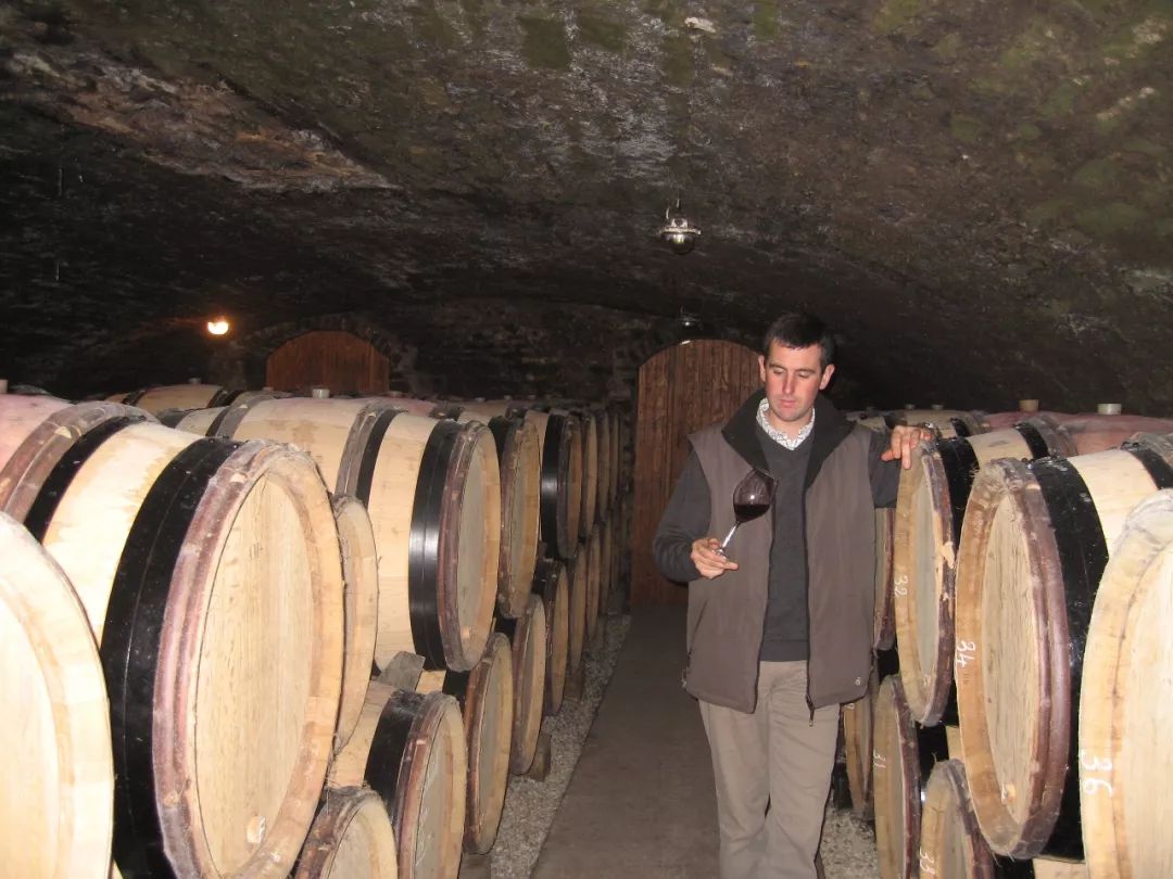 低价值得收藏的葡萄酒,法国葡萄酒199元6瓶