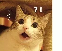 日本网红眼药水被他国禁售,日本网红眼药水有害吗