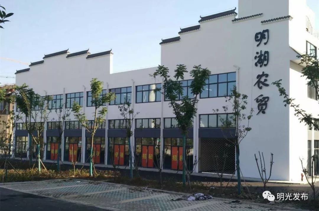 十件民生实事解析,为民实事清单