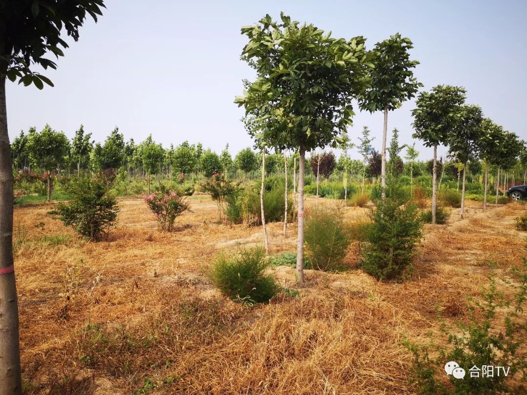 粮食和物资储备局2021年工作总结,粮食局主要工作任务