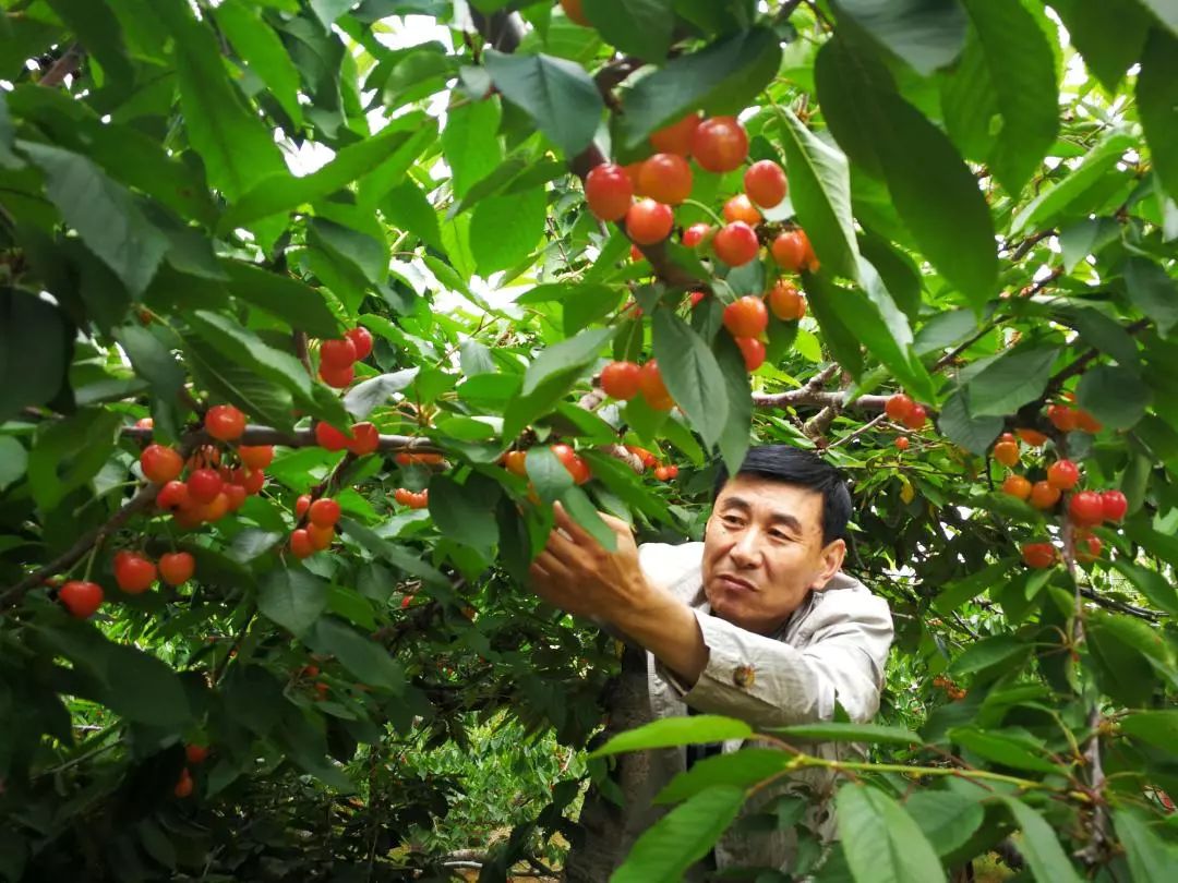 最美乡村有什么特色,有哪些很漂亮的乡村