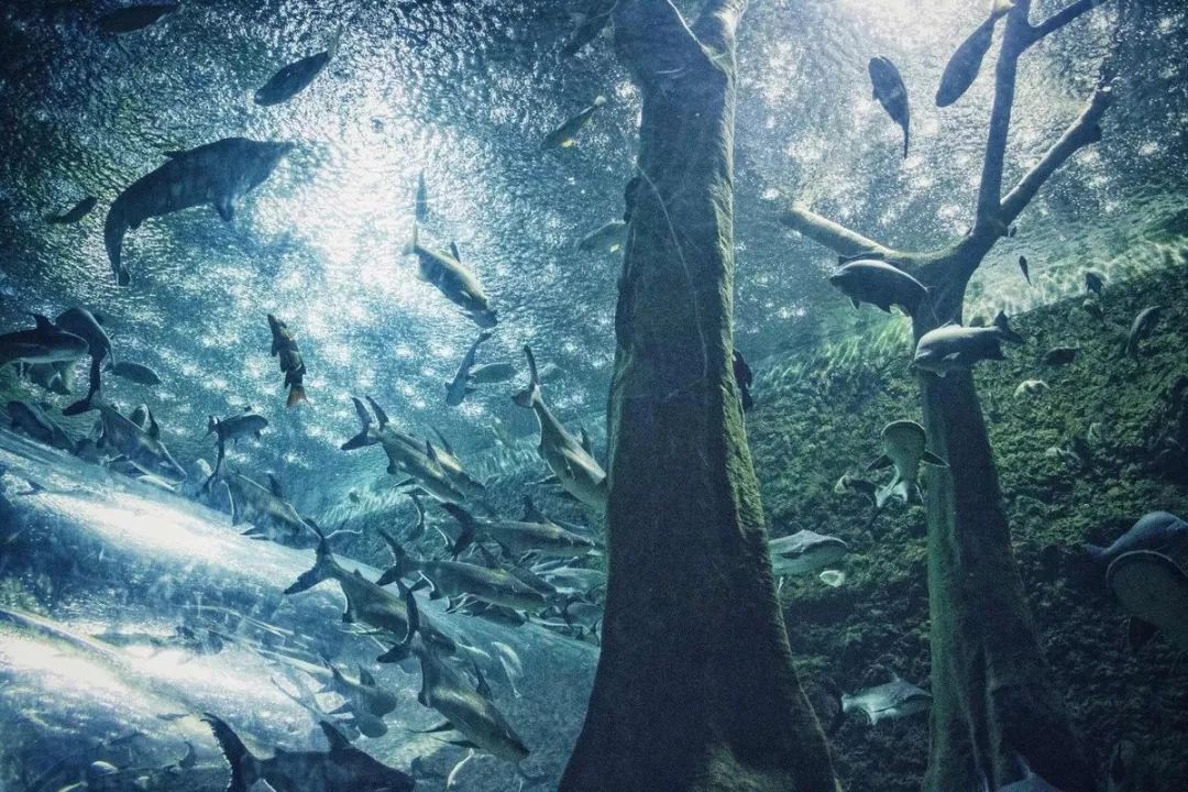 成都景点游览地图高清大图,成都自然景区攻略图片