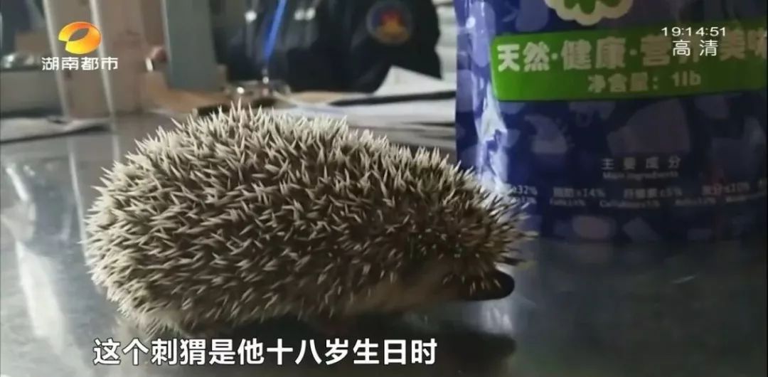 湘潭一大学生竟在身上藏了这东西，让安检人员哭笑不得……