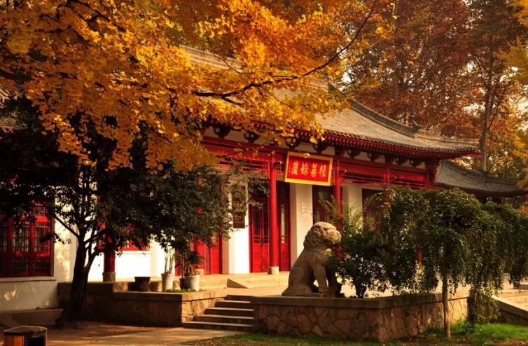 最美的西安公园风景图,西安桃花潭公园手绘导览图