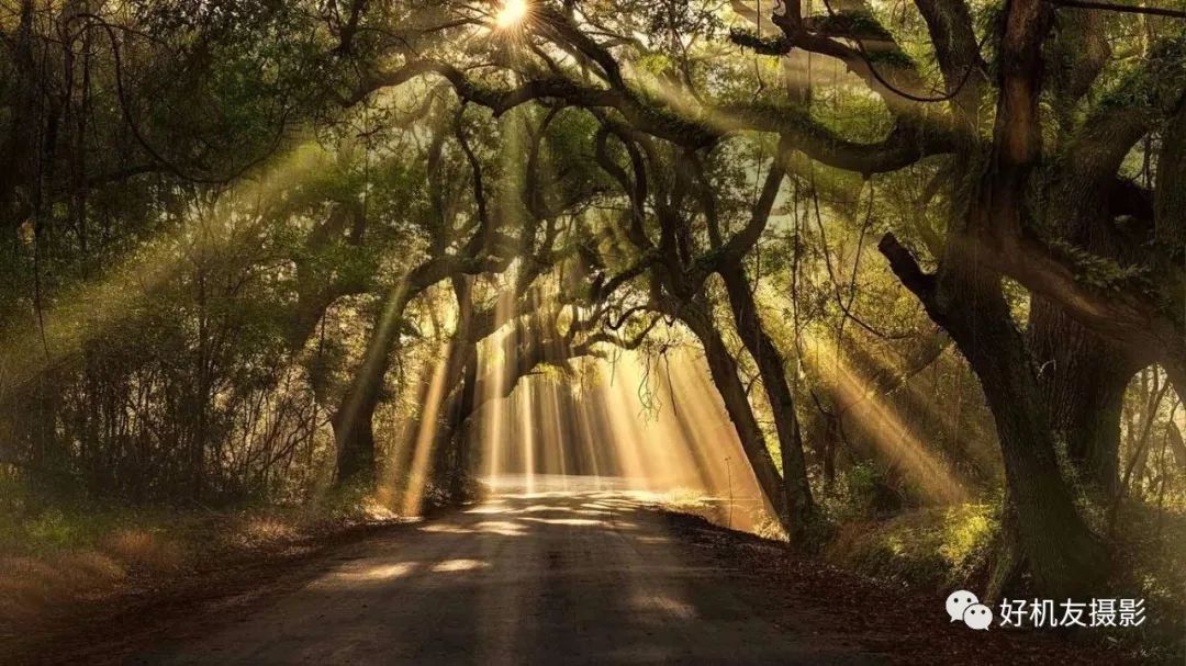 日出摄影用什么测光模式,风景摄影用什么测光模式