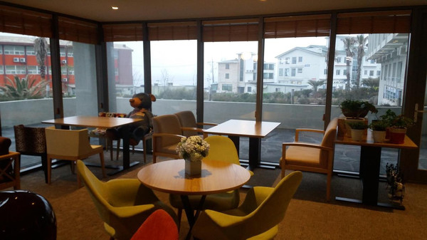 济州岛自由行包车旅游攻略,济州岛一日游包车