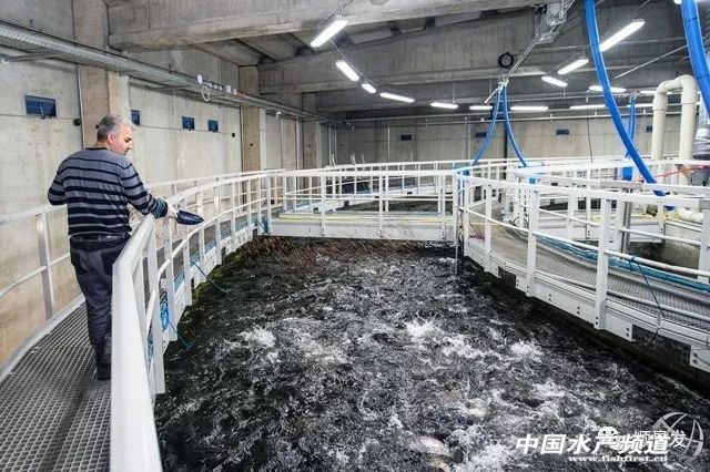 中国海鲜市场未来几年的发展,全球海鲜行业发展趋势