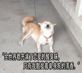 单身率最高的大学专业有哪些,单身率最高的专业top50