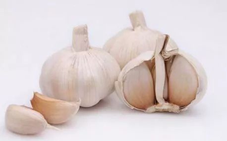 水产饲料成分说明,海水饲料