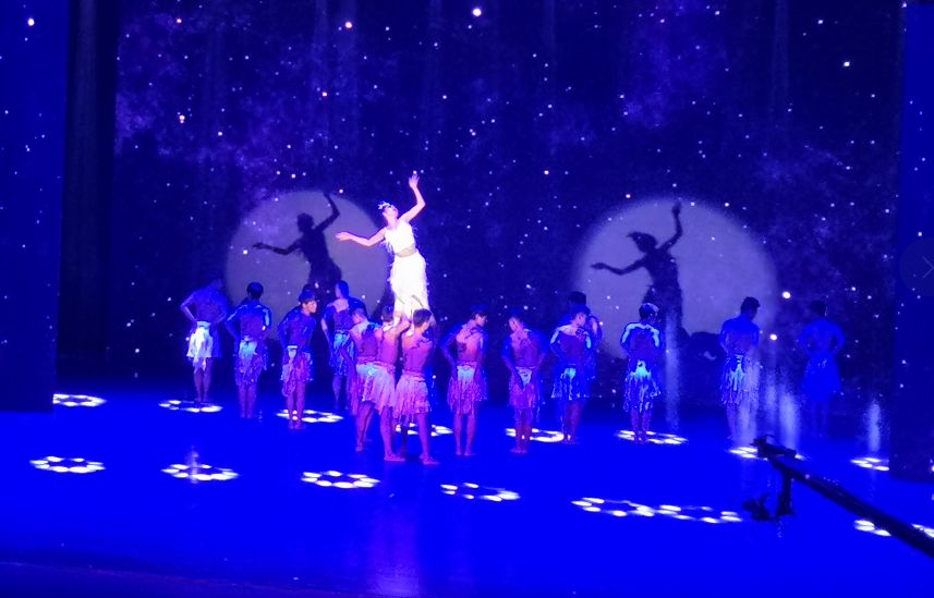 昆明海鸥活动,2022海鸥文化节在哪里