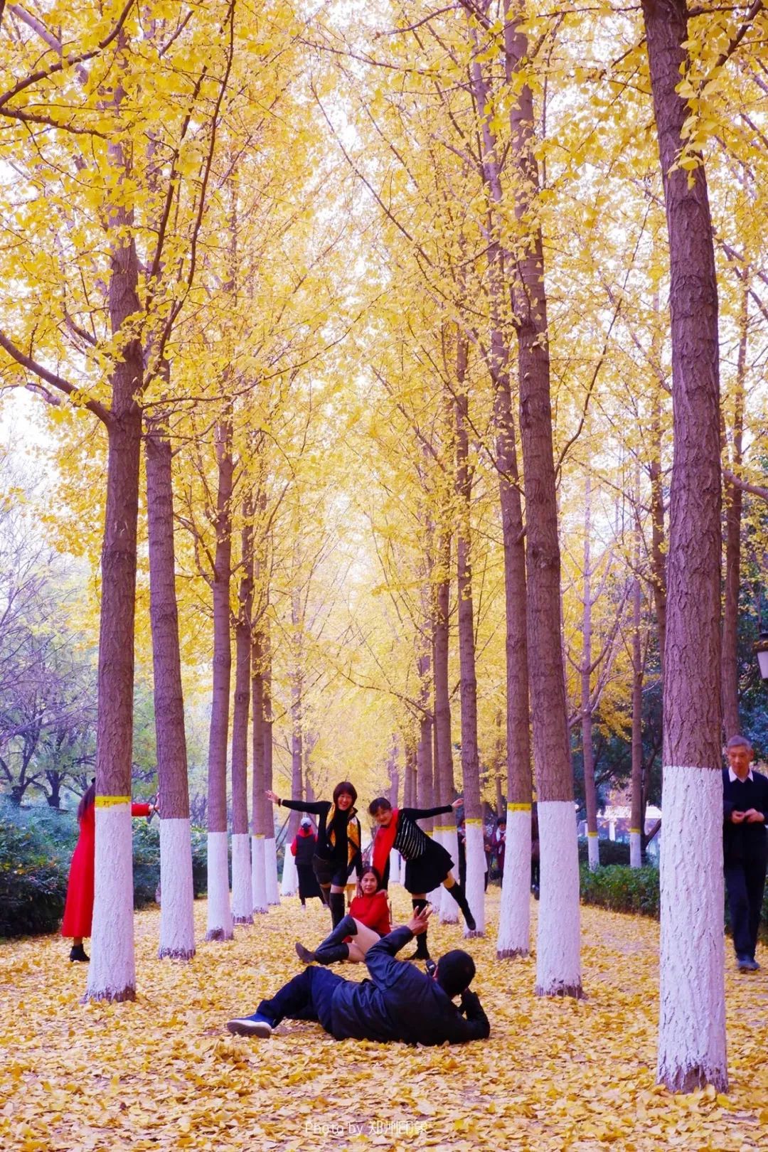 郑州欢迎你2018,2020郑州招才引智大会