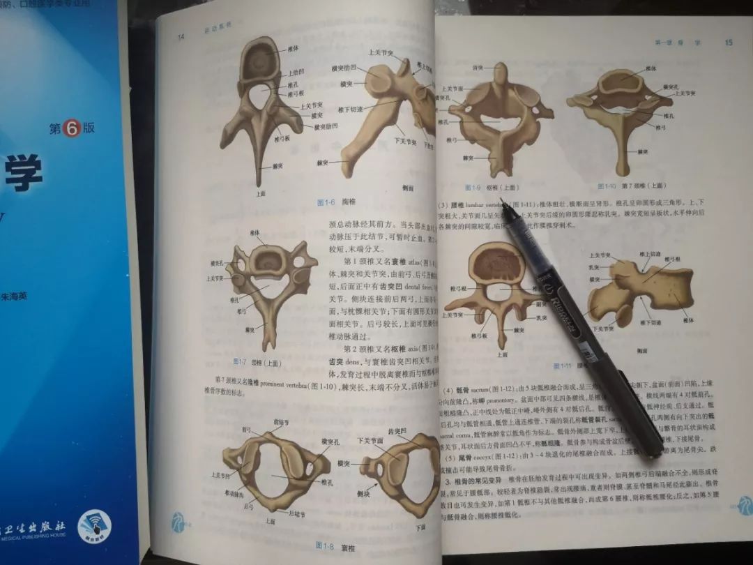 武汉大学生寒假时间安排,大学生寒假2022安排时间表