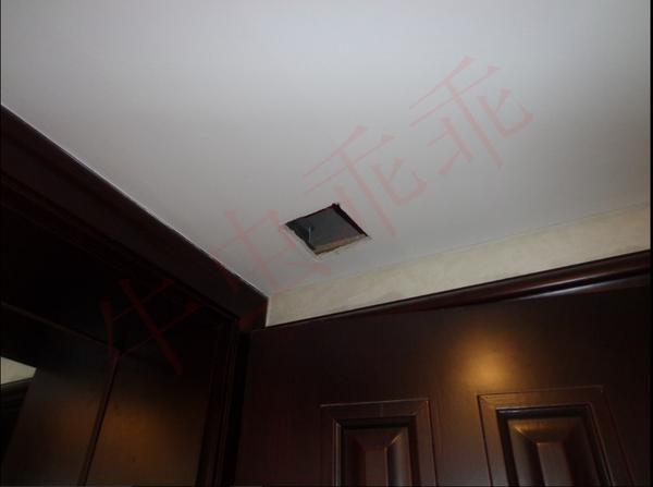 房间里进了老鼠什么办法抓最好,住高层老鼠怎么消灭