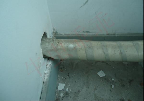 房间里进了老鼠什么办法抓最好,住高层老鼠怎么消灭