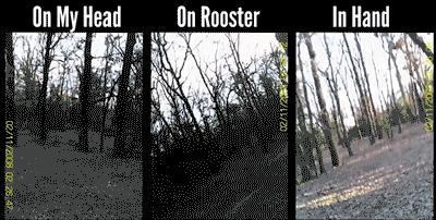 在鸡头装摄像头当稳定器,给鸡头安摄像头