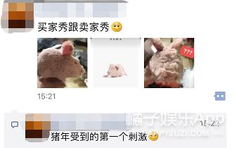 纪梵希guccit恤,gucci设计动物灵感