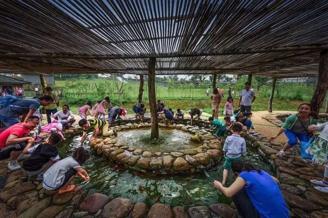 200亩，游客年超30万！这个用枯树建成的农庄，为啥这么牛？