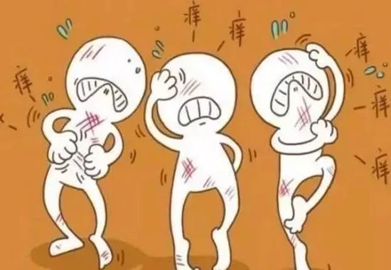 清凉止痒防暑醒神膏,止痒的草药膏