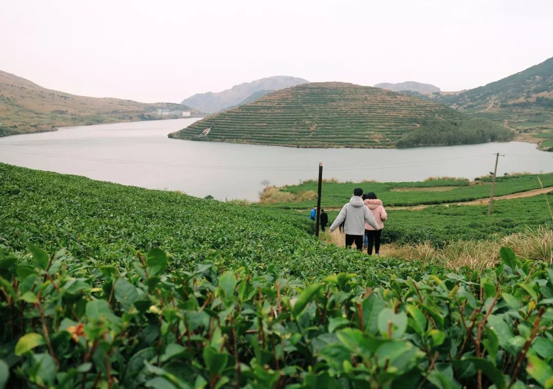 嵛山岛清华大学,清华建筑系岛屿少年