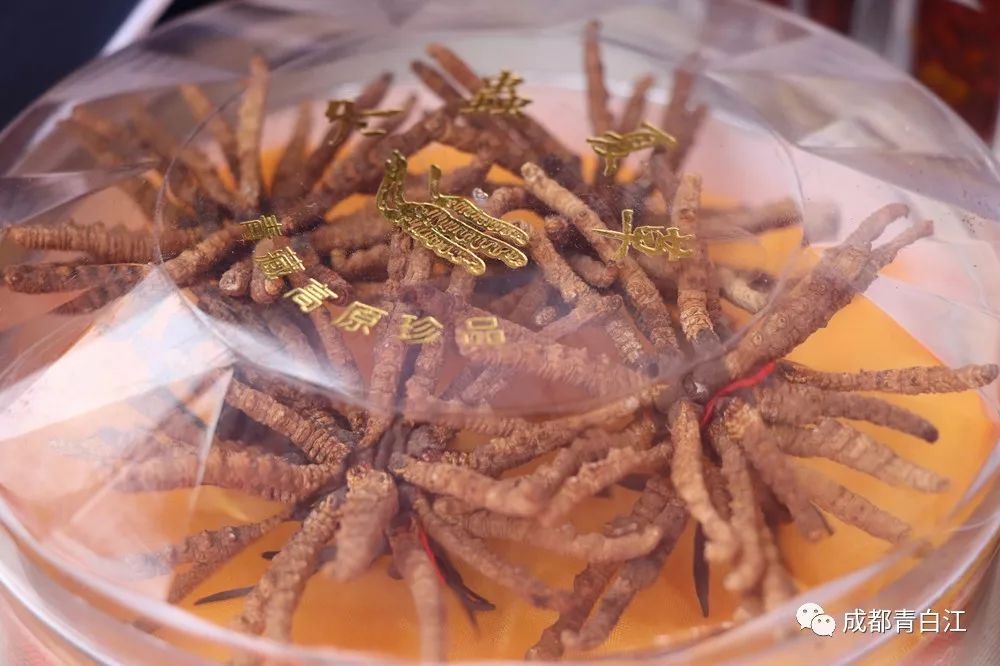 青白江的小伙伴们看过来！携手甘孜九龙，乐购别样年货！