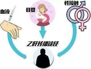 慢性活动性乙型病毒性肝炎起因,病毒性肝炎的历史