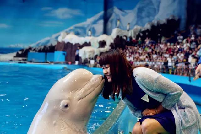 青岛海昌极地海洋公园游玩攻略,听海青岛栈桥