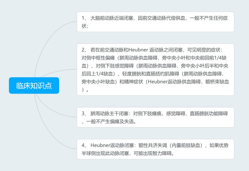 脑血管解剖与分段详解ppt,内科脑血管疾病思维导图