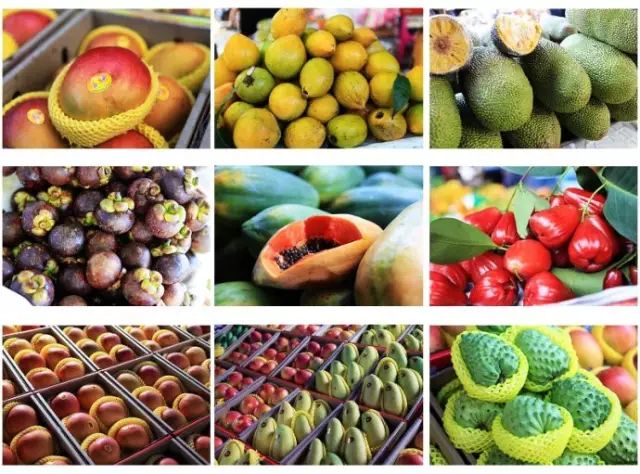 出国要不要准备一些手续,出国必知七大问题