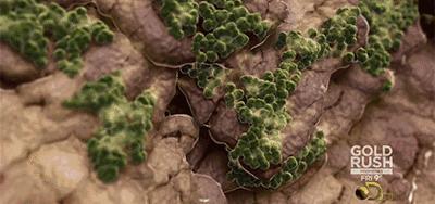 这颗小白球，居然彻底治愈了我的脚臭，日本家庭必备的除臭杀菌神物，三分钟还你一个清新的“脚气”！