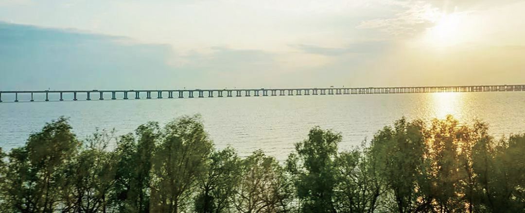 带你玩转深圳攻略在这里,深圳一日游详细攻略大全最新