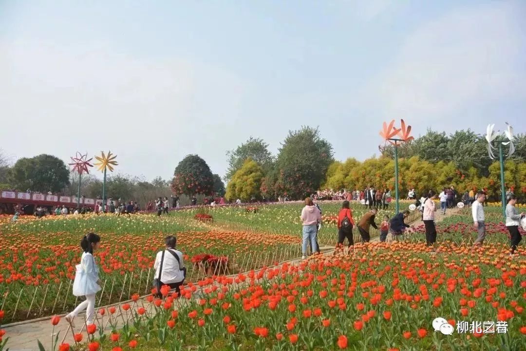 春节小长假旅游攻略,春节假期旅游省钱攻略