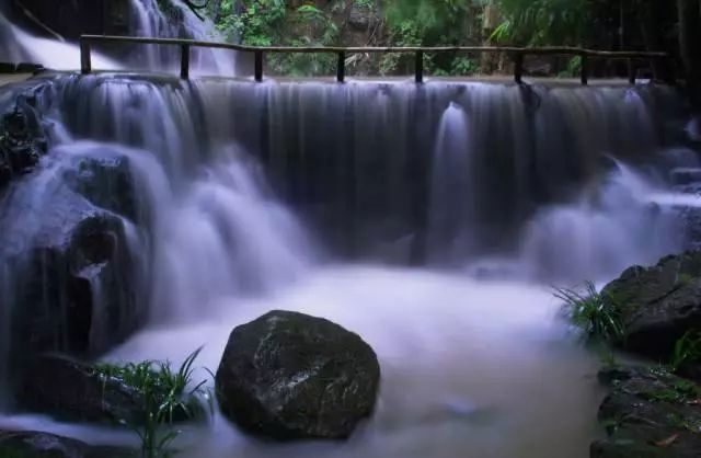 广西梧州平时有什么节目活动,梧州市文化广电体育和旅游