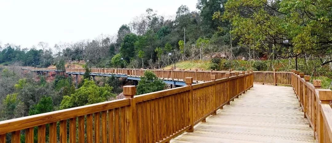 赣州最好玩的公园不要门票,离赣州最近的森林公园还有多远