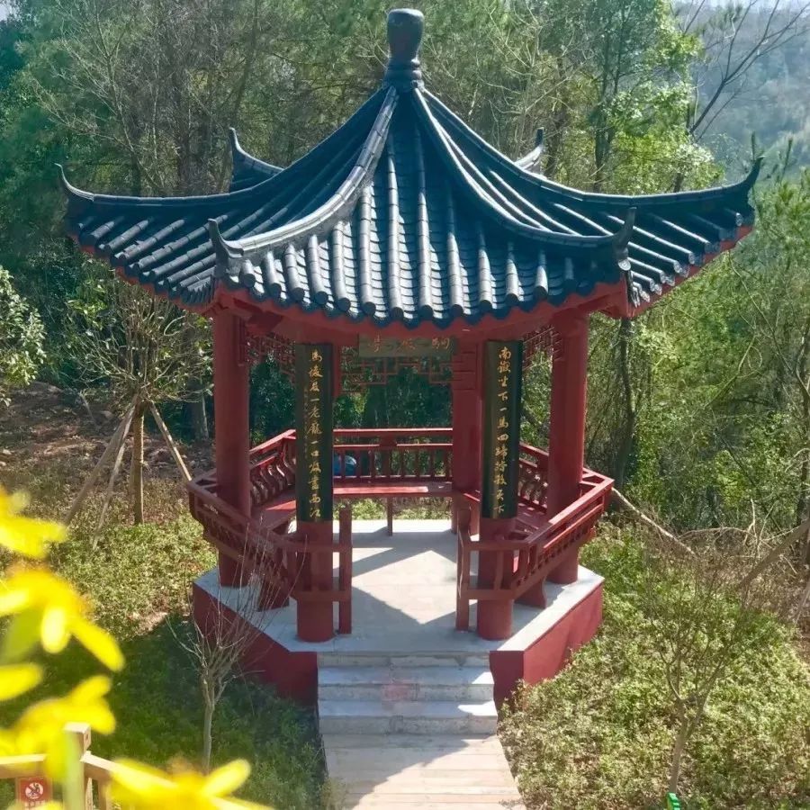 赣州最好玩的公园不要门票,离赣州最近的森林公园还有多远