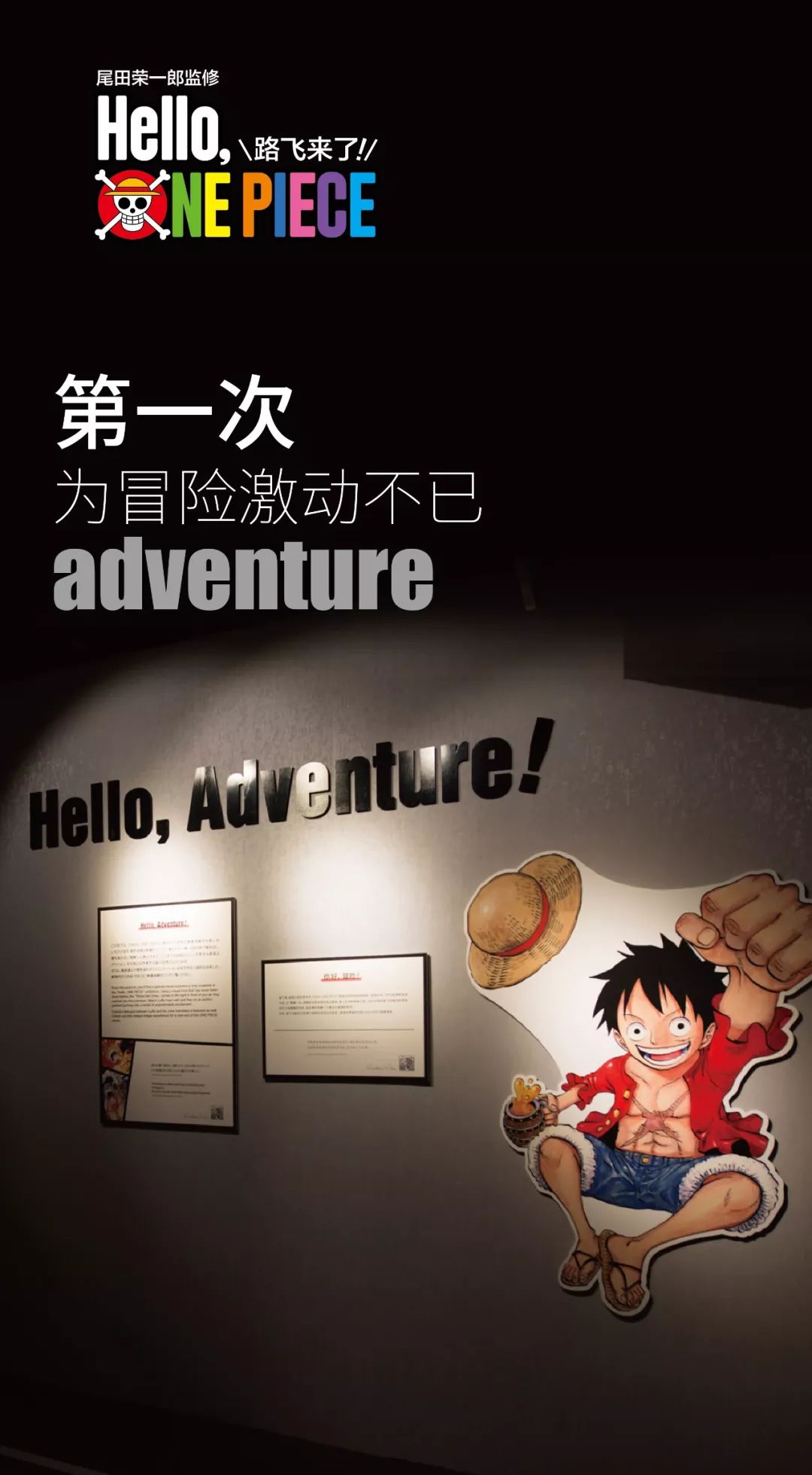 上海2016年海贼王展览,2019年上海海贼王展览