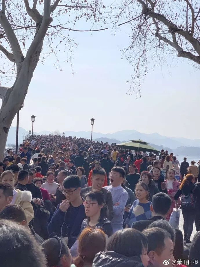 人从众第四个字怎么念,人从众什么意思