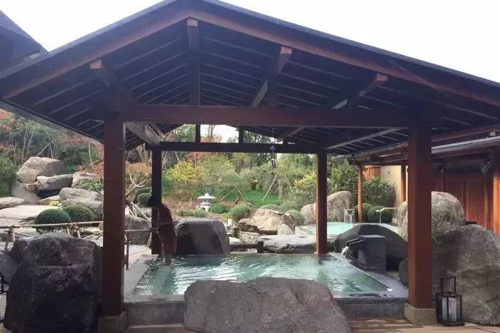 大连摘草莓一日游,大连摘草莓适合去的地方