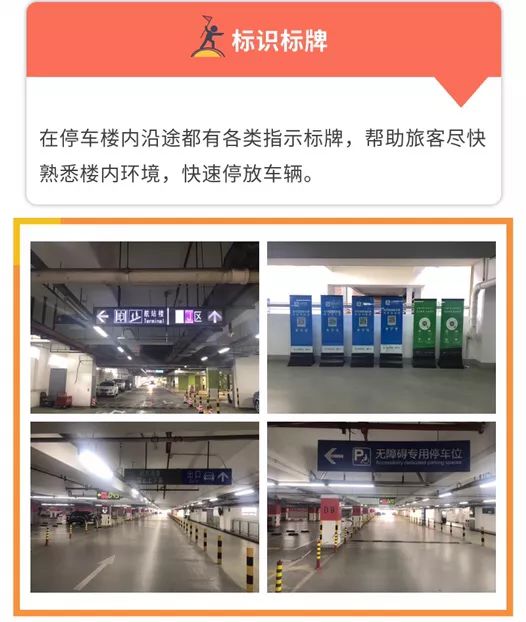 「攻略」注意！“人人人车车车”来了！浦东国际机场推出这些大招，让你出行畅通无阻