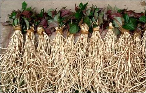 贵阳不光折耳根还有很多美食,贵阳美食里有特色米饭