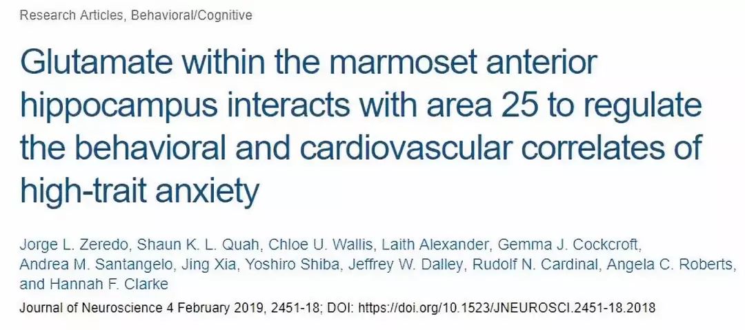 酪氨酸可以缓解焦虑吗,谷氨酸的治疗作用