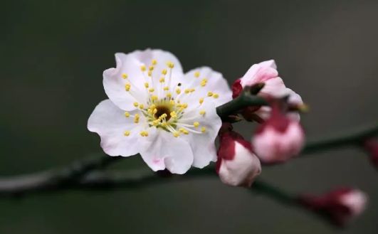 春节假期没嗨够怎么办？又一大波美轮美奂的景点等着你！乘公交直达