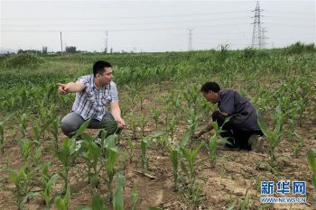 辽宁全面振兴三年行动,辽宁省全面振兴三年行动工作会议