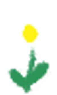 养生堂今日重播,北京卫视养生堂四步养心护心法