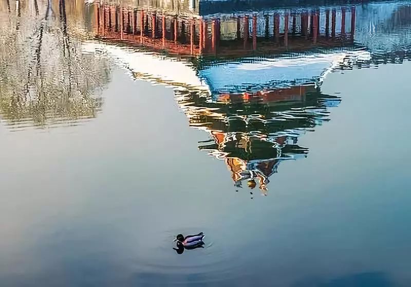 夜读身处低谷时不妨看看这8句话,夜读在人生的低谷中安然前行