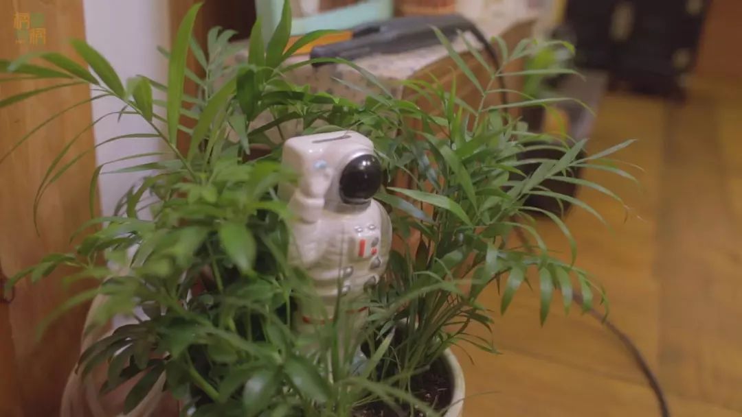 没有堕胎打架姐妹撕逼，这部韩国电影带你走进少女的初恋世界