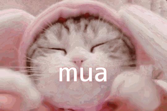 温暖中国的春天,温暖中国阳光正好