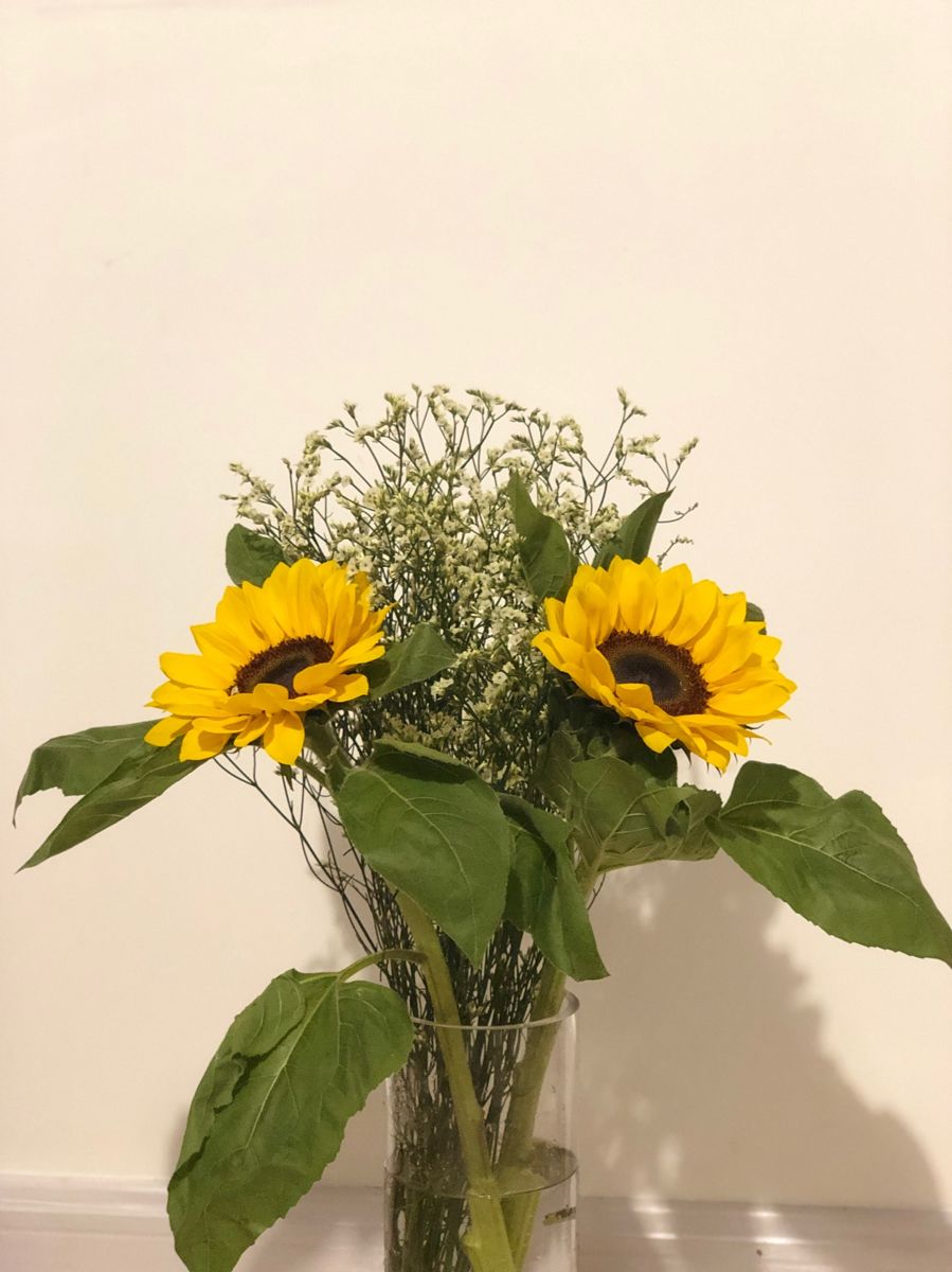 假如条件允许你最想做什么工作,10分钟28题看你适合什么工作