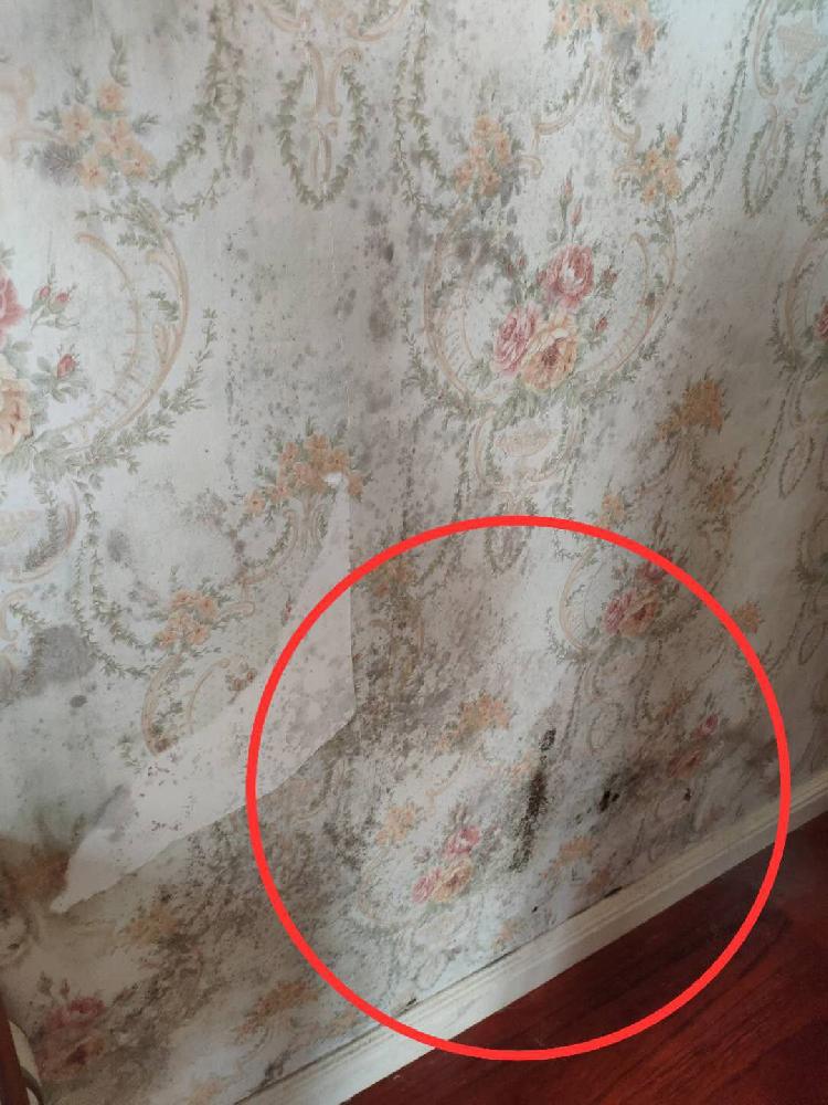 奥园城市天地质量,重庆奥园城市天地悦府施工情况